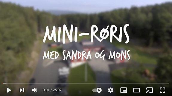 Mini-Røris